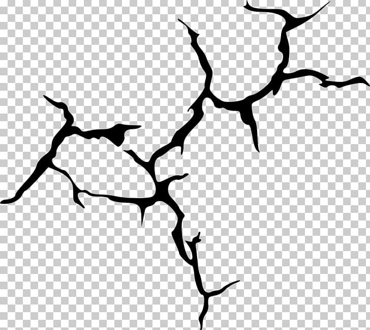 Monochrome Photography PNG, Clipart, Artwork, Beak, Black And White, Branch, Download Free PNG Download