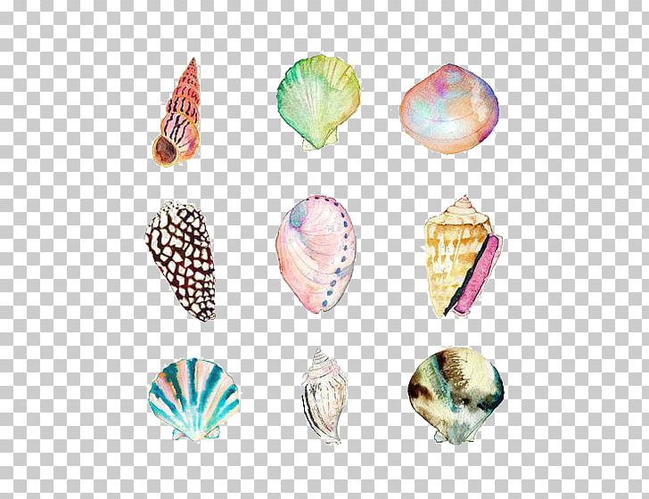Watercolor Painting Seashell Drawing Beach Illustration PNG, Clipart, Art, Cartoon, Color, Egg Shell, Fresh Free PNG Download
