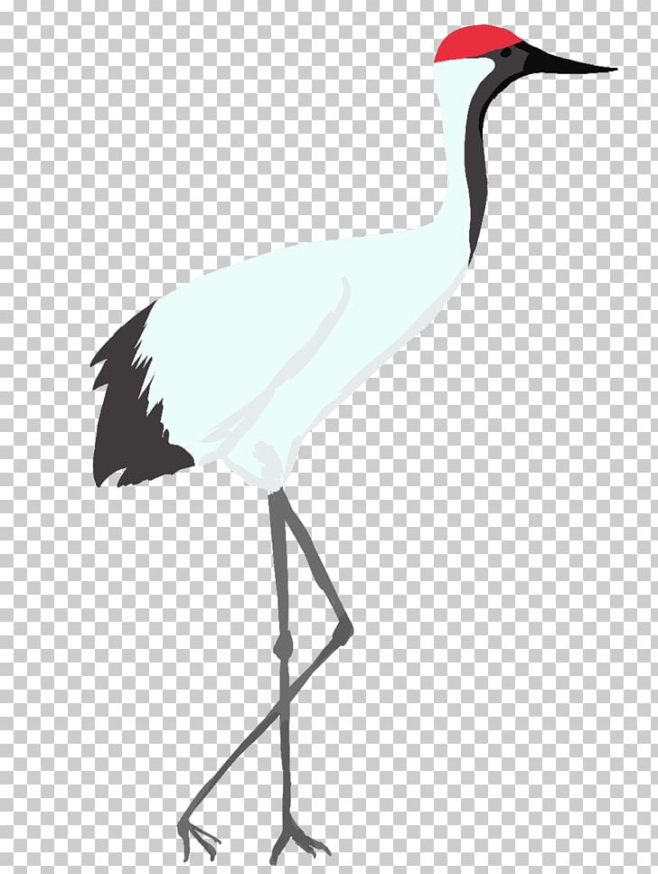 White Stork Crane Water Bird PNG, Clipart, Animal, Beak, Bird, Book Illustration, Ciconiiformes Free PNG Download