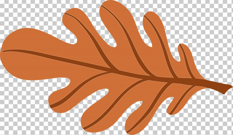 Hand Model Leaf Line Orange S.a. PNG, Clipart, Biology, Hand, Hand Model, Happy Halloween, Leaf Free PNG Download