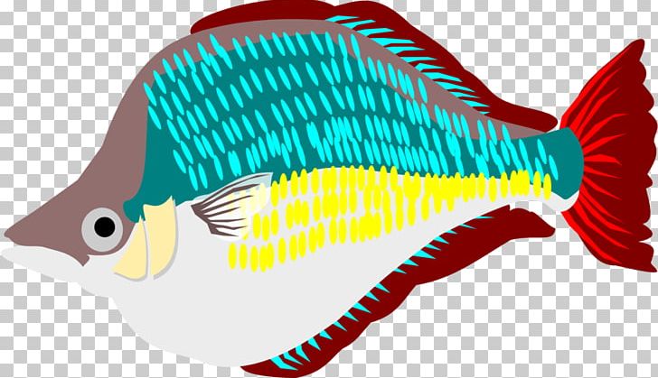 Marine Biology Fauna PNG, Clipart, Beak, Biology, Fauna, Fish, Marine Biology Free PNG Download