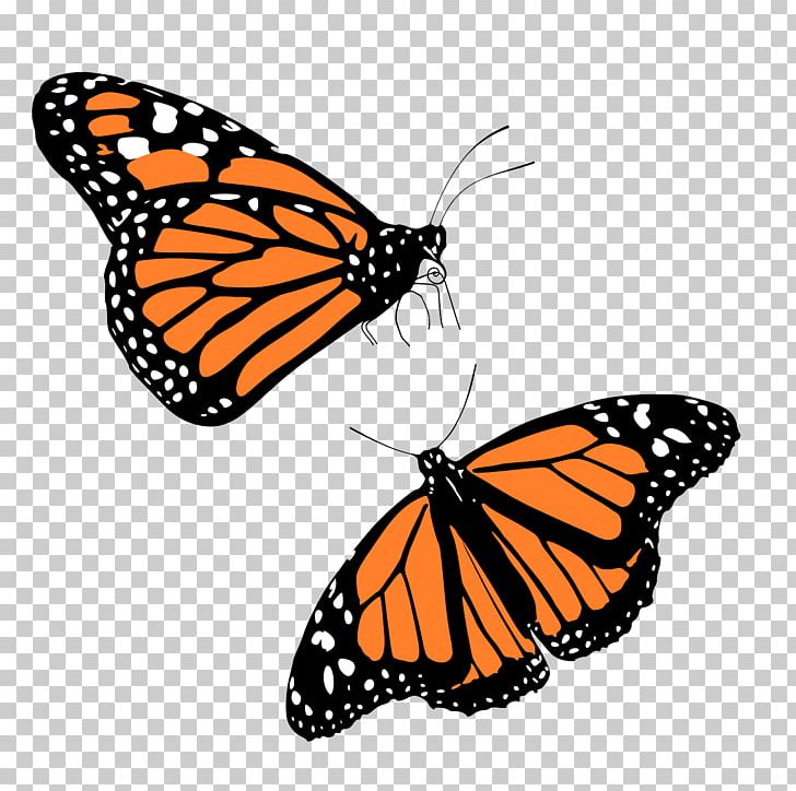 Monarch Butterfly Insect PNG, Clipart, Arthropod, Biological Life Cycle, Brush Footed Butterfly, Butterfly, Caterpillar Free PNG Download