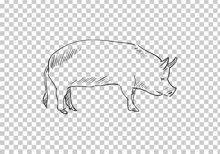 Pig Drawing PNG, Clipart, Animals, Artwork, Black And White, Carnivoran, Cattle Like Mammal Free PNG Download
