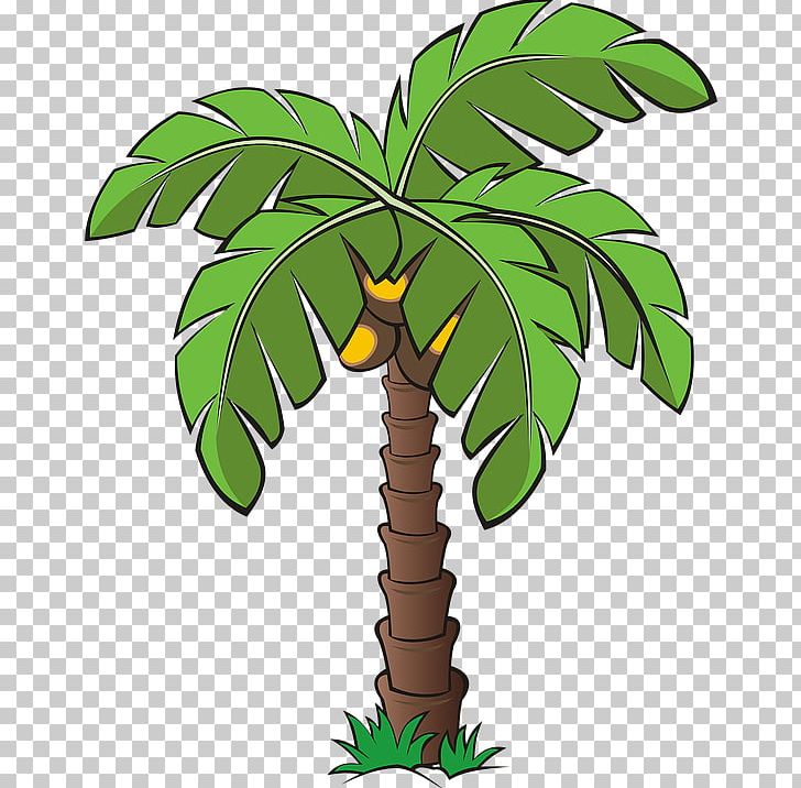 Arecaceae PNG, Clipart, Arecaceae, Arecales, Drawing, Flowering Plant, Flowerpot Free PNG Download