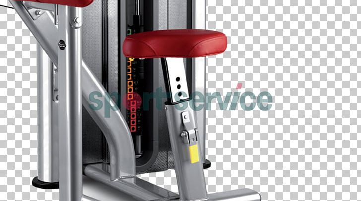 Biceps Curl Bodybuilding Beistegui Hermanos Overhead Press PNG, Clipart, Beistegui Hermanos, Biceps, Biceps Curl, Bodybuilding, Exercise Equipment Free PNG Download