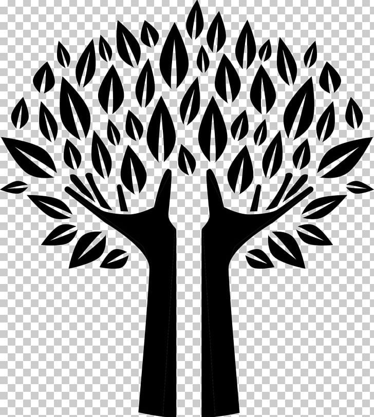 Drawing Tree PNG, Clipart, Arecaceae, Art, Black And White, Branch, Computer Icons Free PNG Download