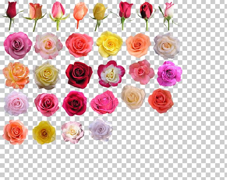 Garden Roses Cut Flowers Blue Rose Hybrid Tea Rose PNG, Clipart, Aphrodite, Artificial Flower, Blue Rose, Bud, Cicek Free PNG Download