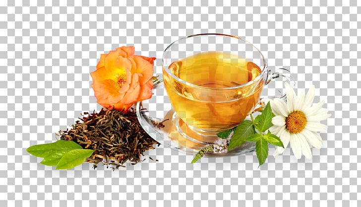 Green Tea Oolong Food Health PNG, Clipart, Alternative Health Services, Chinese Herb Tea, Disease, Drink, Earl Grey Tea Free PNG Download