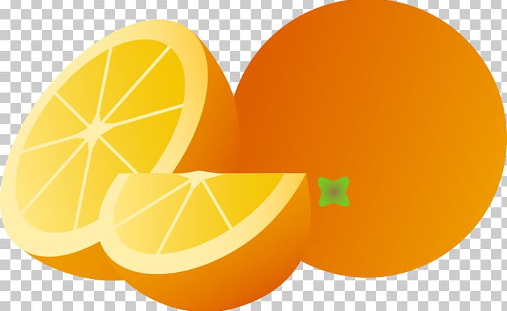 Juice Punch Orange Fruit PNG, Clipart, Circle, Citric Acid, Citrus, Computer Wallpaper, Food Free PNG Download