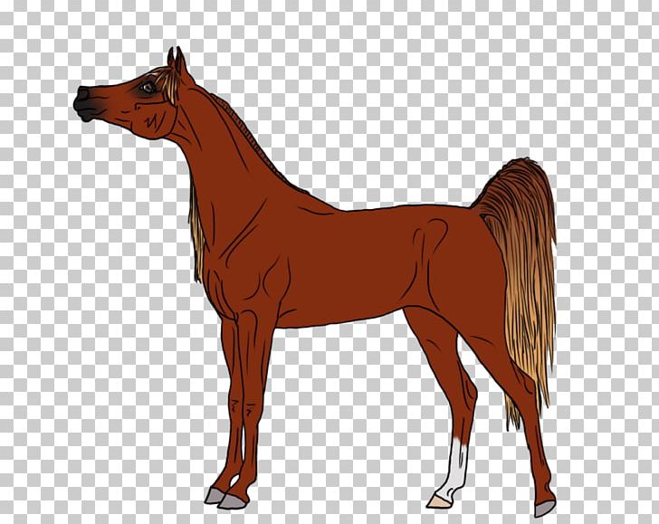 Mustang Arabian Horse Pony Stallion Foal PNG, Clipart, Animal Figure, Arabian Horse, Art, Artist, Bridle Free PNG Download