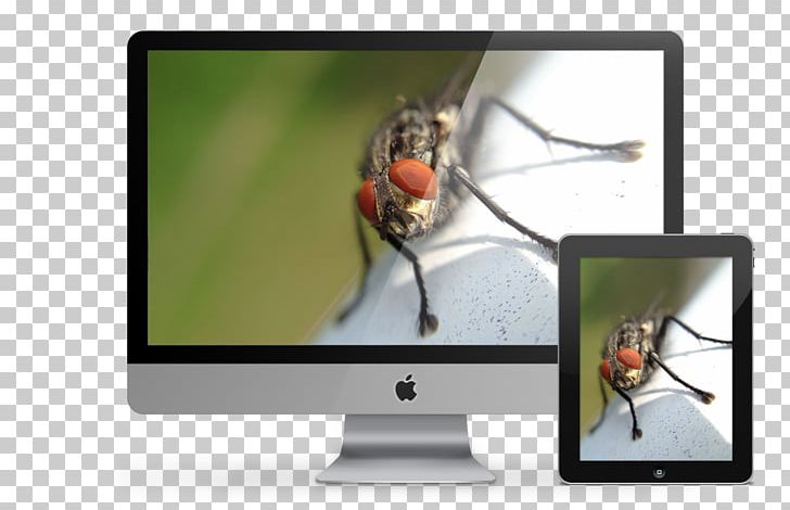 Graphic Design Web Design Computer Monitors Visual Communication PNG, Clipart, Art, Communication Design, Computer Monitor, Computer Monitors, Corporate Identity Free PNG Download