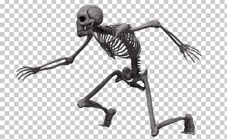 Human Skeleton Bone Homo Sapiens Skull PNG, Clipart, Black And White, Bone, Deviantart, Drawing, Fantasy Free PNG Download