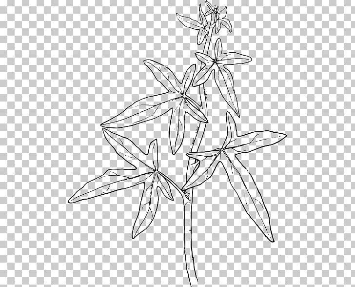 Plants Ivy Graphics Drawing PNG, Clipart, Artwork, Black And White, Branch, Drawing, Fictional Character Free PNG Download
