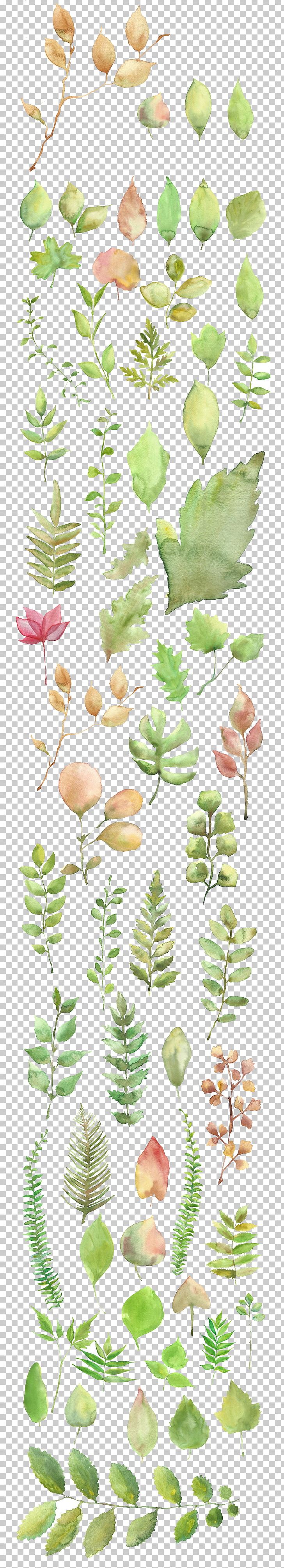 Watercolor Painting Shading PNG, Clipart, Decoration, Download, Fall Leaves, Flower, Leaf Free PNG Download