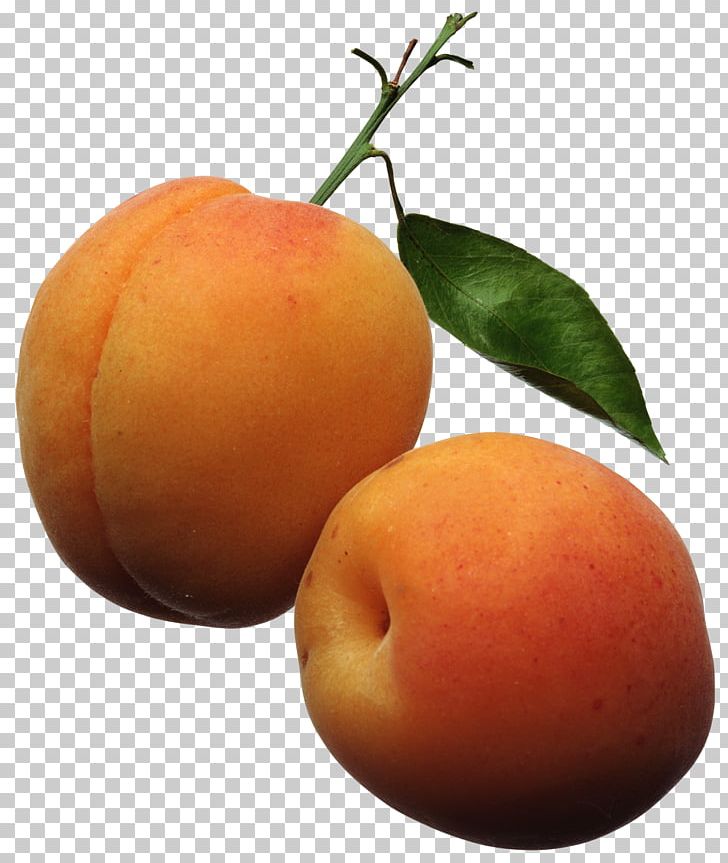 Apricot Fruit Peach PNG, Clipart, Apple, Apple Fruit, Apricot, Bitter Orange, Citrus Free PNG Download