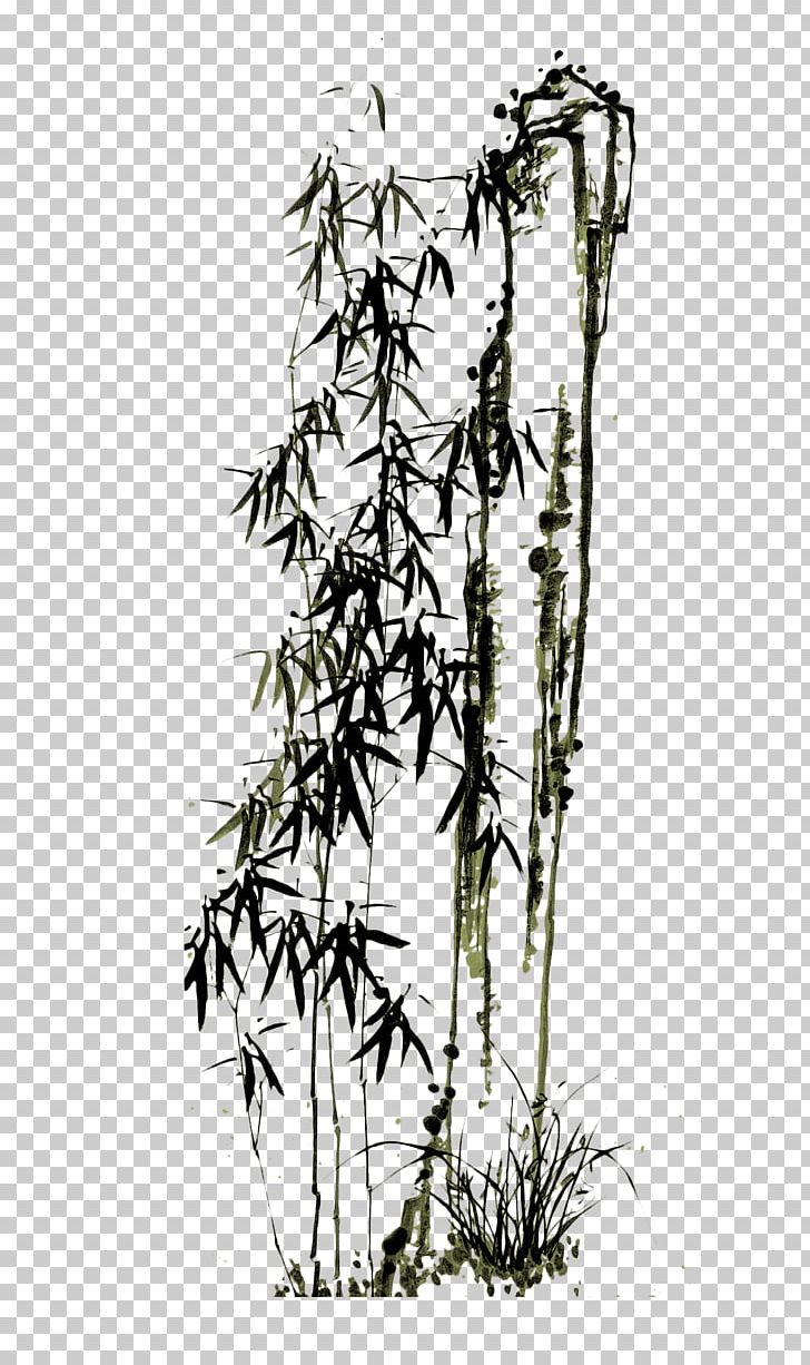 Bamboo Tree Vector Drawing Stock Vector by ©wenpei 177994236