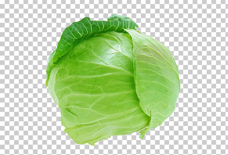 Capitata Group Coleslaw Cauliflower Savoy Cabbage Vegetable PNG, Clipart, Broccoli, Brussels Sprout, Cabbage, Capitata Group, Cauliflower Free PNG Download