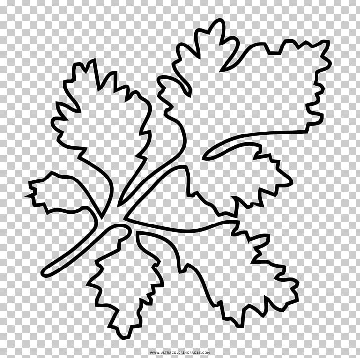 Drawing Coloring Book Parsley Line Art PNG, Clipart, Art, Artwork, Black, Black And White, Branch Free PNG Download