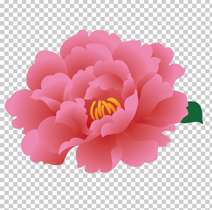 Moutan Peony PNG, Clipart, Adobe Illustrator, Camellia, Dahlia, Decoration, Download Free PNG Download