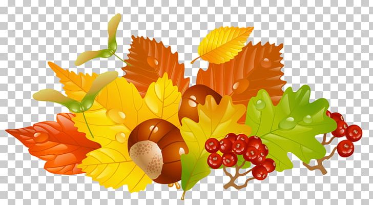 Autumn Leaf Color PNG, Clipart, Autumn, Autumn Leaf Color, Chestnut Tree Cliparts, Computer Wallpaper, Encapsulated Postscript Free PNG Download