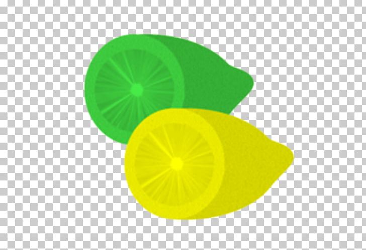 Lemon Lime Rotary Kiln Bitter Orange PNG, Clipart, Bitter Orange, Circle, Fruit, Fruit Nut, Green Free PNG Download