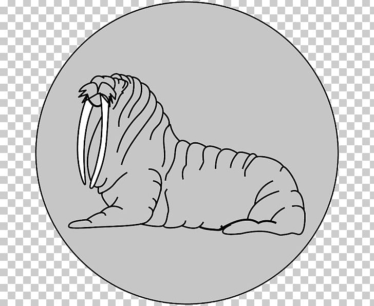Whiskers Tiger Dog Walrus Bear PNG, Clipart, Animals, Area, Art, Artwork, Big Cats Free PNG Download