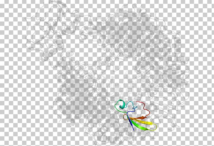 Drawing Line Art Graphic Design PNG, Clipart, Acetolactate Synthase, Area, Art, Artwork, Branch Free PNG Download
