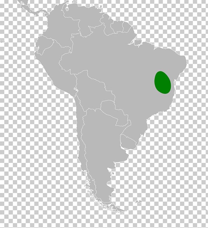 Latin America Southern Cone United States Subregion PNG, Clipart, America, Americas, Country, Diplolaemus, Distribution Free PNG Download