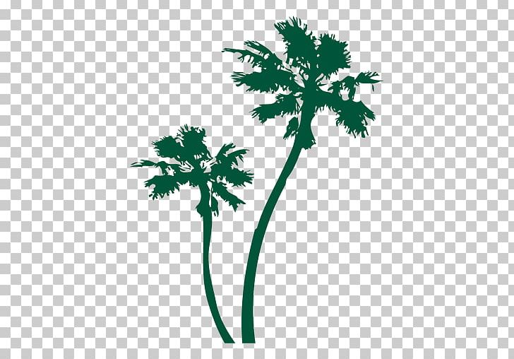 Arecaceae Tree PNG, Clipart, Arecaceae, Arecales, Branch, Coconut, Drawing Free PNG Download