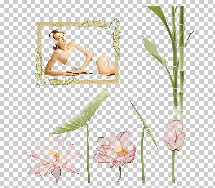 Floral Design Designer PNG, Clipart, Archive, Attractive, Beauty, Beauty Salon, Bright Free PNG Download