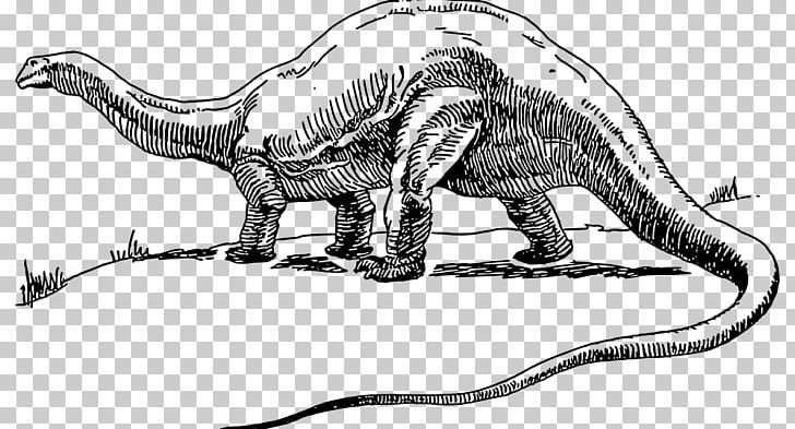 Apatosaurus Brontosaurus Tyrannosaurus Dinosaur Park Diplodocus PNG, Clipart, Animal Figure, Apatosaurus, Artwork, Carnivoran, Fauna Free PNG Download