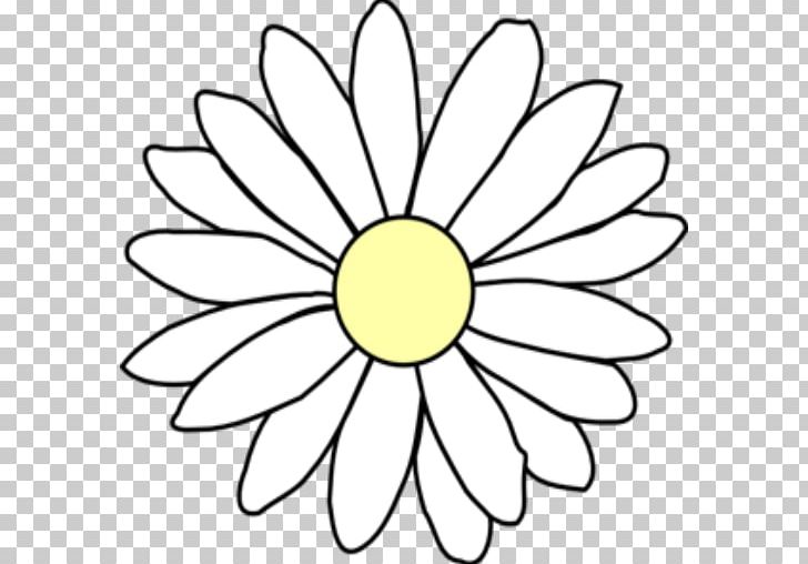 Flower Drawing PNG, Clipart, Black And White, Chamomile, Circle, Common Daisy, Cut Flowers Free PNG Download