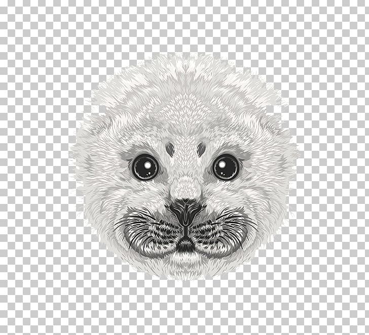 Whiskers Earless Seal Drawing Illustration PNG, Clipart, Animals, Avatar Vector, Black And White, Carnivoran, Cartoon Free PNG Download