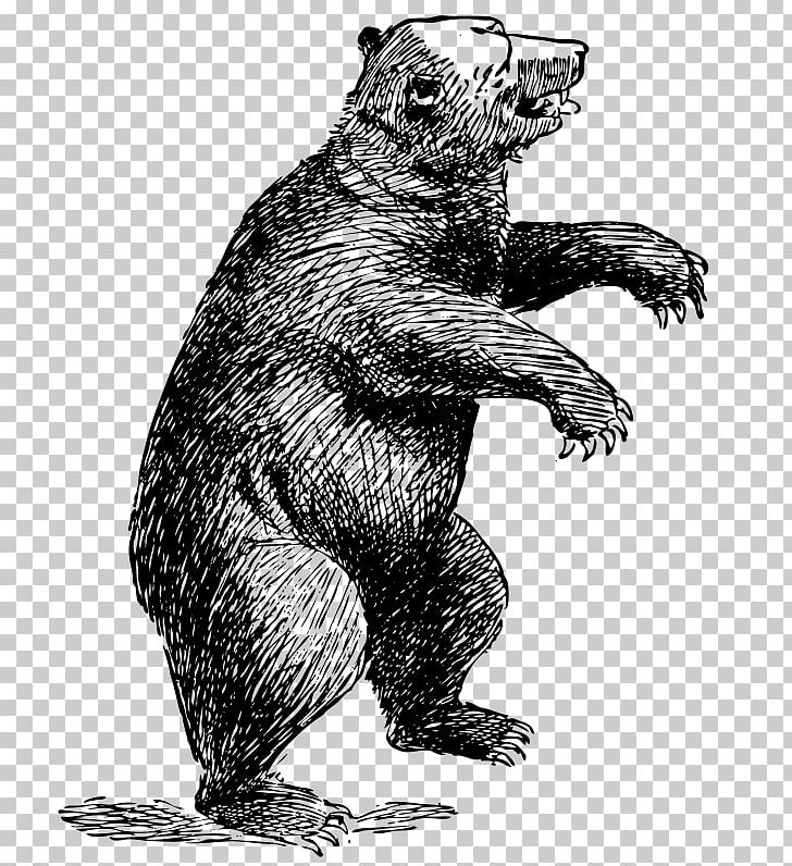 American Black Bear Brown Bear Polar Bear Red Panda PNG, Clipart, Animal, Animals, Beaver, Black And White, Brown Free PNG Download