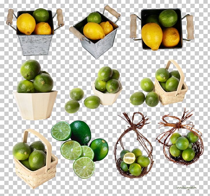 Bucket Key Lime Tableware PNG, Clipart, Apple, Bottich, Bucket, Citrus, Diet Food Free PNG Download