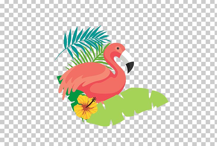 Flamingo PNG, Clipart, Animals, Beak, Bird, Cartoon Flamingo, Chicken Free PNG Download