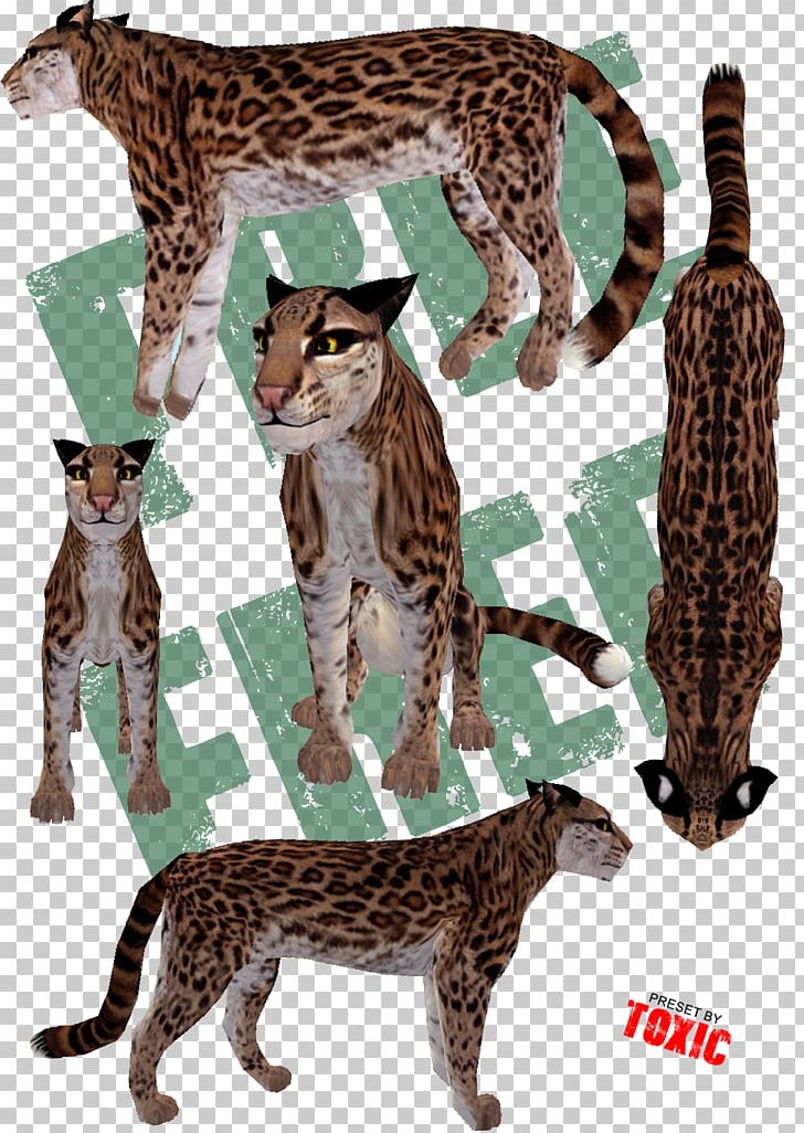 Big Cat Ocelot Cheetah Terrestrial Animal PNG, Clipart, Animal, Animal Figure, Animals, Big Cat, Big Cats Free PNG Download