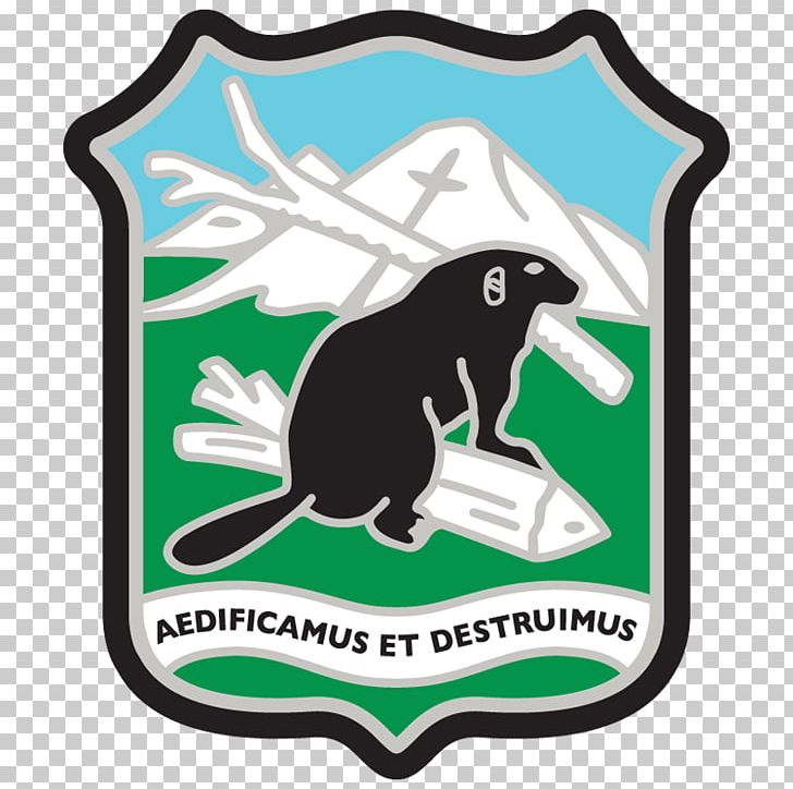 Engineer Combat Battalion Regiment 10th Mountain Division PNG, Clipart, Aerial Tramway, Amphibian, Amphibians, Area, Battalion Free PNG Download