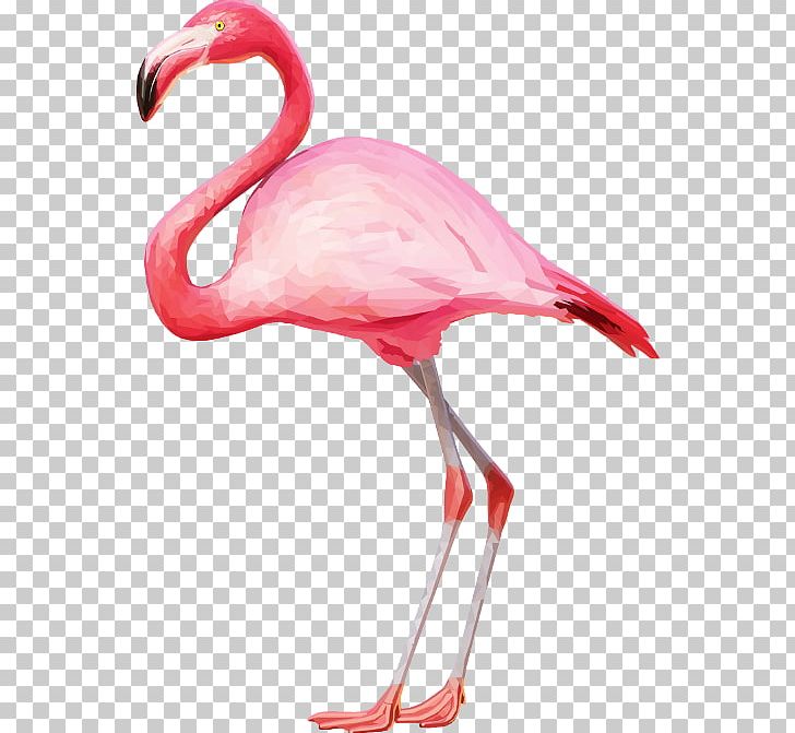 Flamingo PNG, Clipart, Animals, Beak, Bird, Clip Art, Computer Icons Free PNG Download