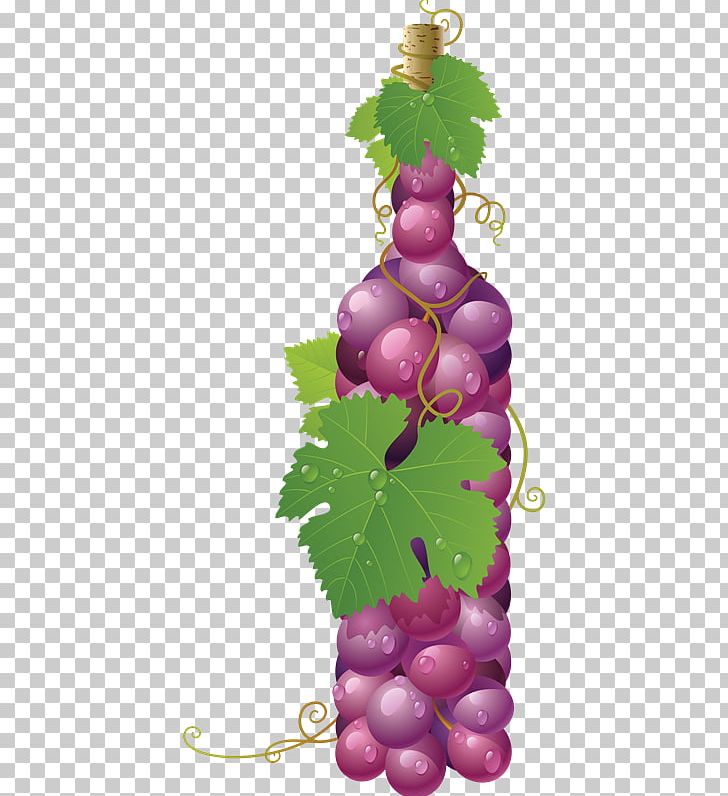 Common Grape Vine Wine Juice PNG, Clipart, Common Grape Vine, Dried Fruit, Flowering Plant, Food, Fruit Free PNG Download