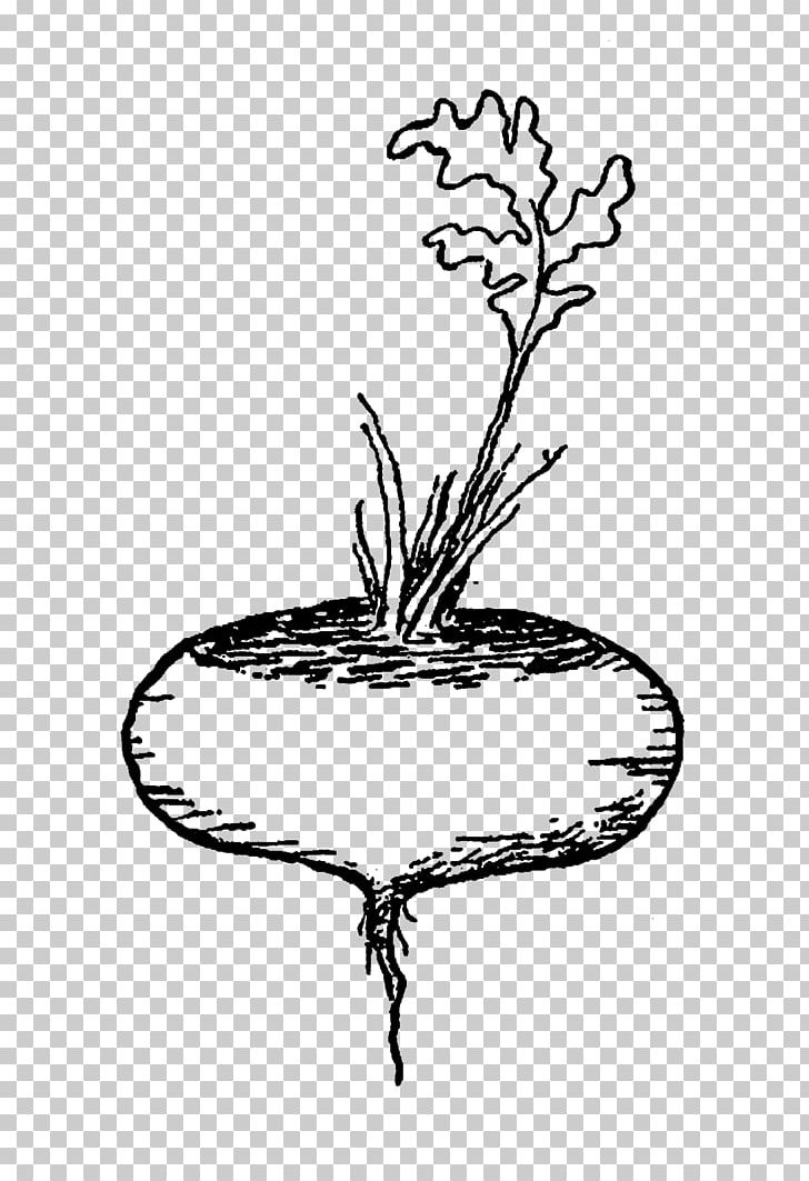 Drawing Visual Arts PNG, Clipart, Art, Black And White, Branch, Digital Illustration, Drawing Free PNG Download