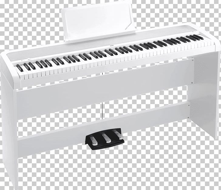 KORG B1SP Digital Piano Keyboard PNG, Clipart, Action, Angle, Celesta, Digital Piano, Electronics Free PNG Download