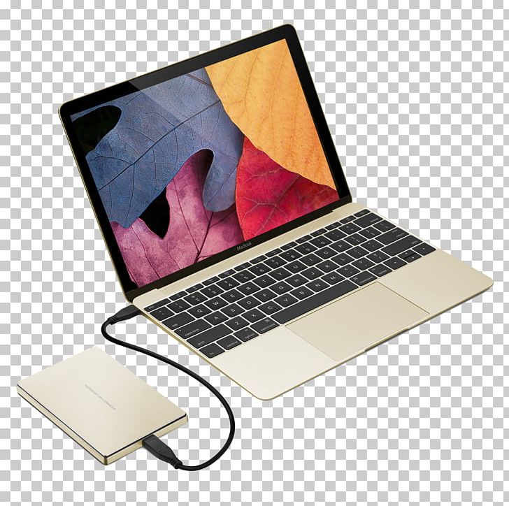 MacBook LaCie Porsche Design Mobile Drive 1 TB External Hard Drive PNG, Clipart,  Free PNG Download