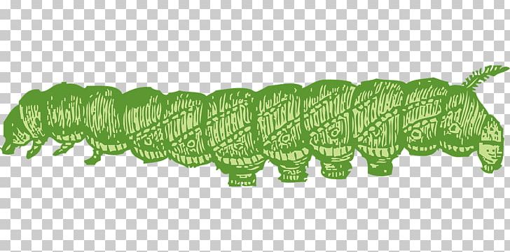 Caterpillar Butterfly PNG, Clipart, Animals, Background Green, Butterfly, Caterpillar, Crawl Free PNG Download