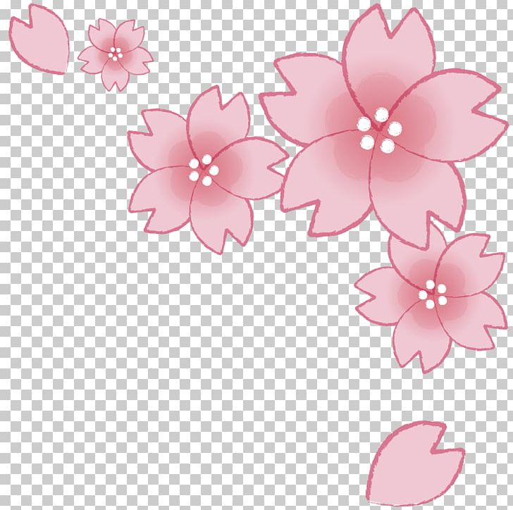 Cherry Blossom Graduation Ceremony 花吹雪 PNG, Clipart, Blossom, Cherry, Cherry Blossom, Flora, Floral Design Free PNG Download