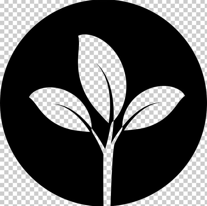 Computer Icons Nature Leaf Citrus × Deliciosa PNG, Clipart, Black And White, Branch, Circle, Computer Icons, Computer Wallpaper Free PNG Download