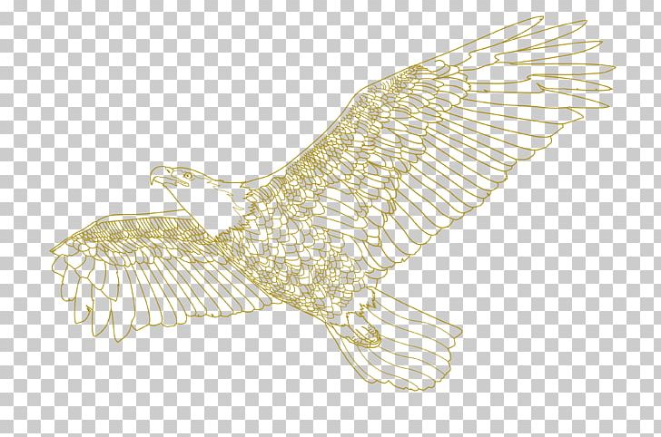 Eagle Owl /m/02csf Hawk Drawing PNG, Clipart, Animals, Beak, Bird, Bird Of Prey, Drawing Free PNG Download