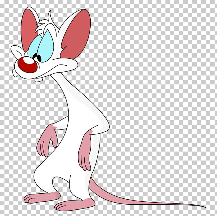 Whiskers Mouse Rat Cat Canidae PNG, Clipart, Animals, Canidae, Carnivoran, Cartoon, Cat Like Mammal Free PNG Download