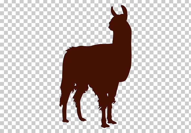 Llama Humour PNG, Clipart, Alpaca, Art, Camel Like Mammal, Cattle Like Mammal, Goats Free PNG Download