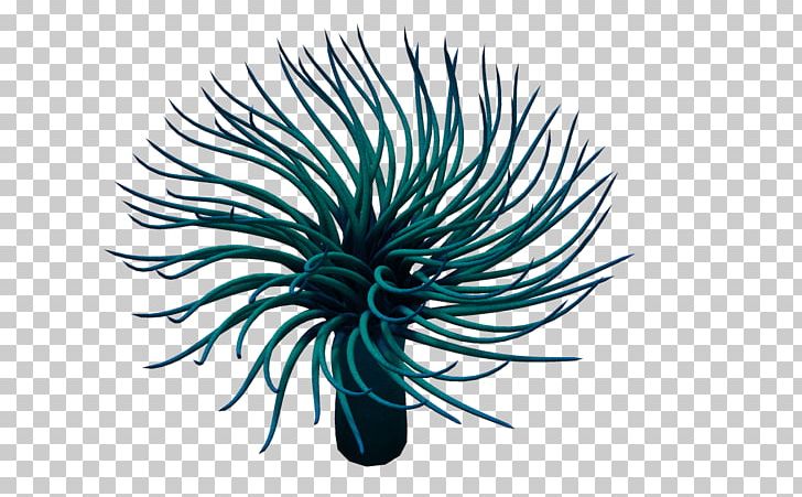 Sea Anemone Coral Monster Girl Quest PNG, Clipart, 3d Computer Graphics, Animal, Animals, Biological, Blue Free PNG Download